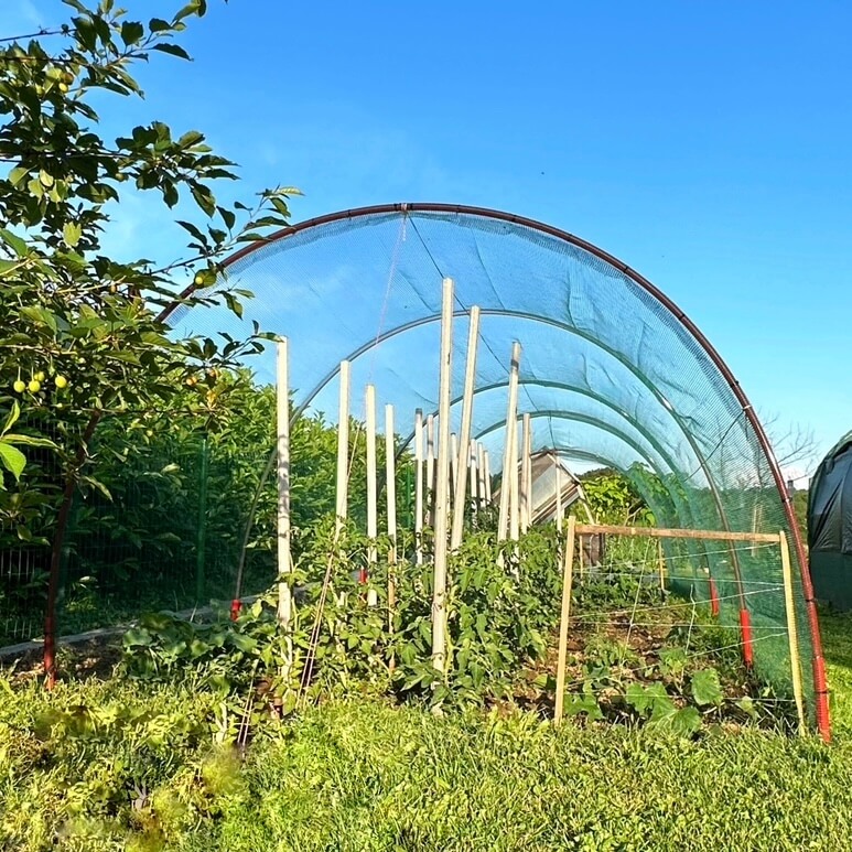 loki za rastlinjake iz polikarbonatne plastične cevi